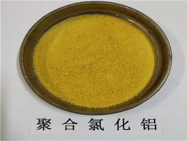 src=http___www src=http___www